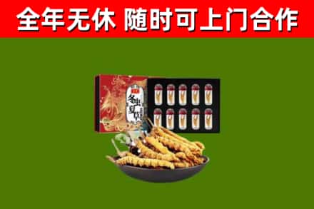 港南回收冬虫夏草价格